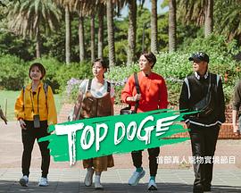 91黑料专区《TOP DOG》免费在线观看