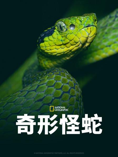 91黑料爆料《奇形怪蛇》免费在线观看